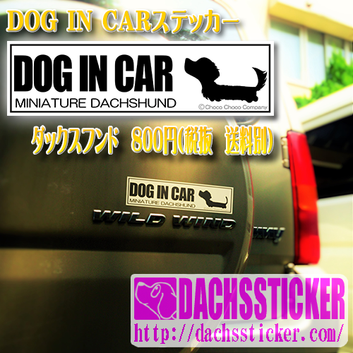 DOG IN CARステッカーホワイト