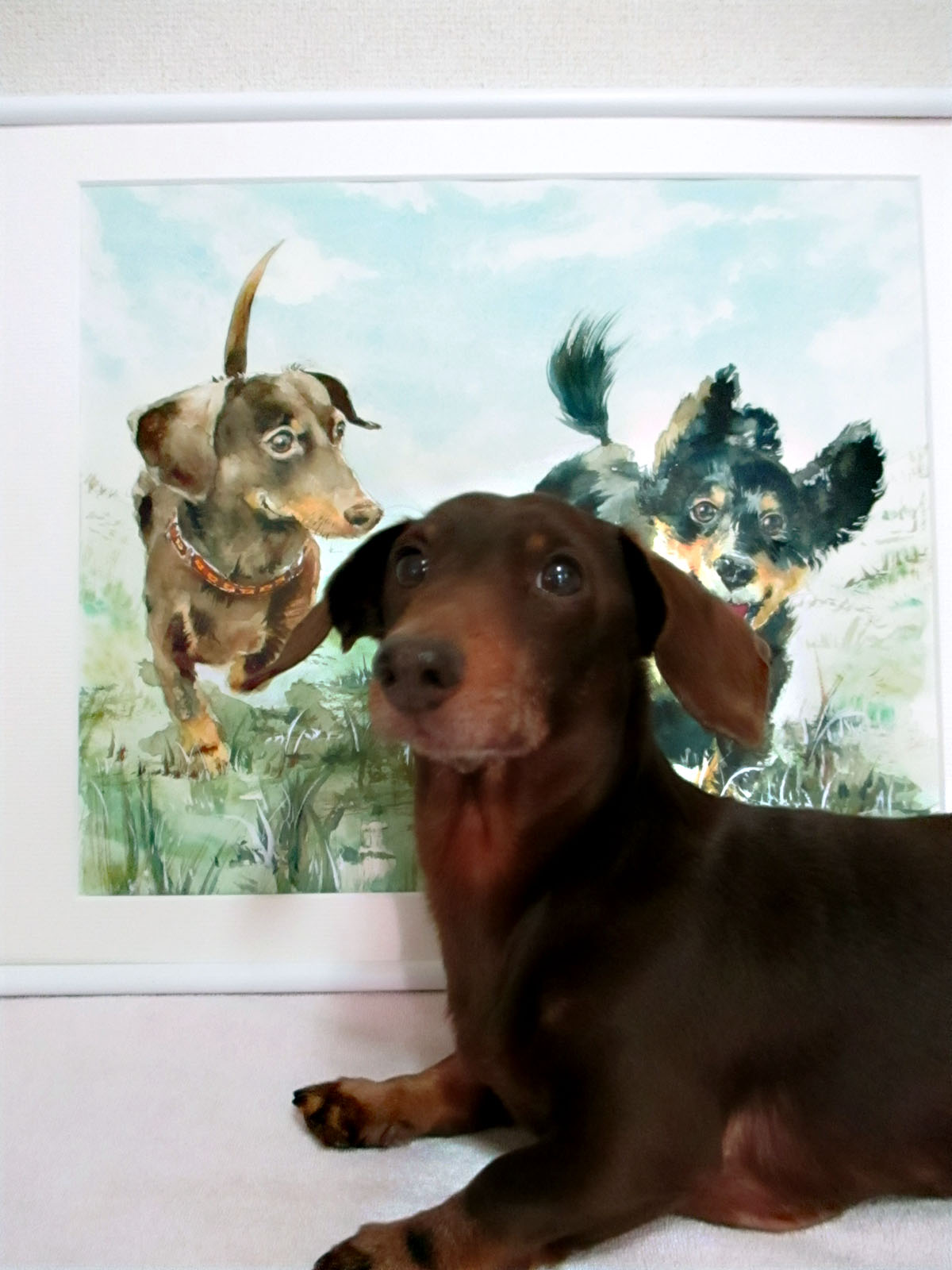 アポロパパが描く愛犬の水彩画オーダーメイドご注文受付中です♪