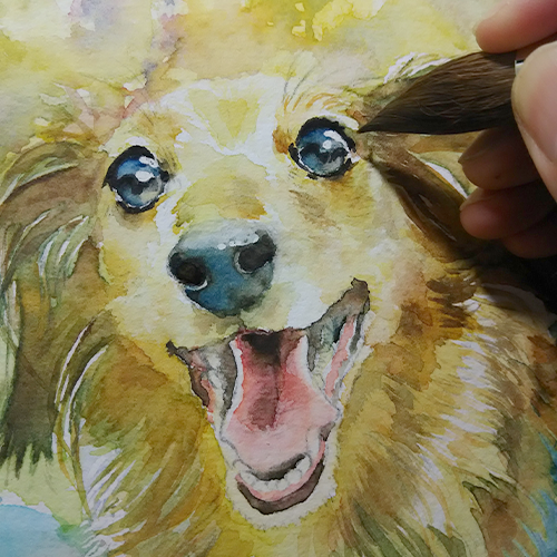 愛犬の肖像画　水彩画
