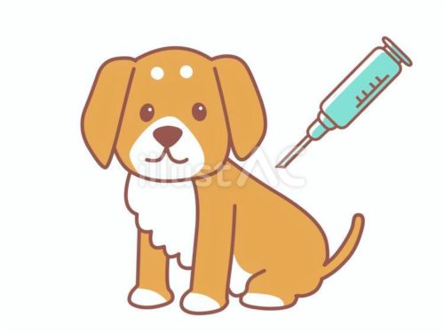 無料イラスト,狂犬病,ワクチン,注射,動物,病院,犬,ペット,予防接種,医療,病気,診療