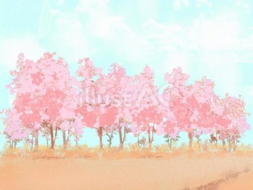 無料イラスト,並木道,桜,春,背景,空,雲
