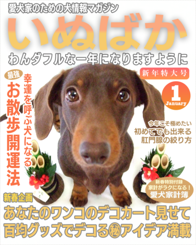 いぬばか2025年1月号