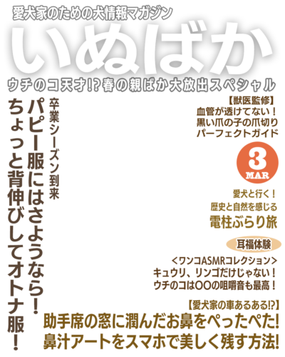 いぬばか2025年3月号テンプレート