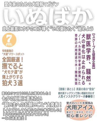 いぬばか2025年7月号テンプレート